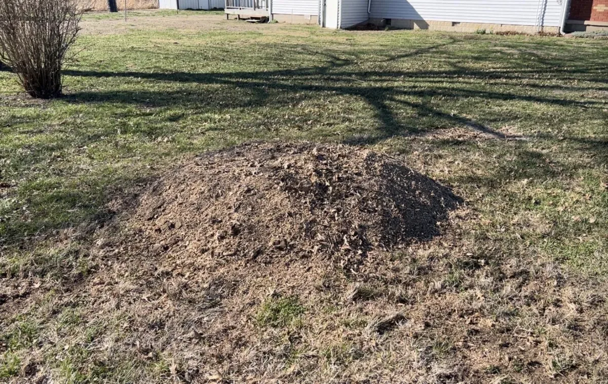 Finished stump grinding area