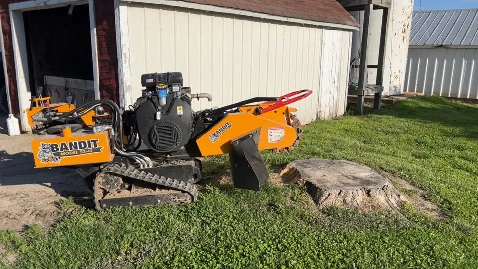Stump before grinding near a building
